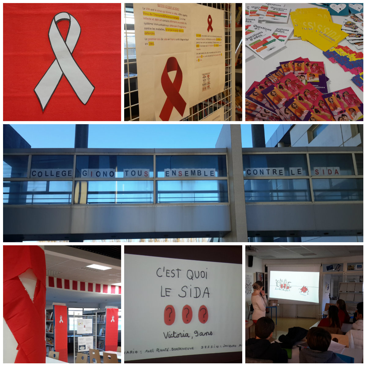 collage sida