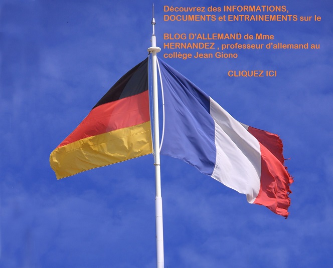 Drapeaux Franco Allemand lien