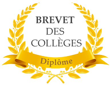 Brevet copy